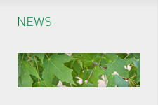 News Releases