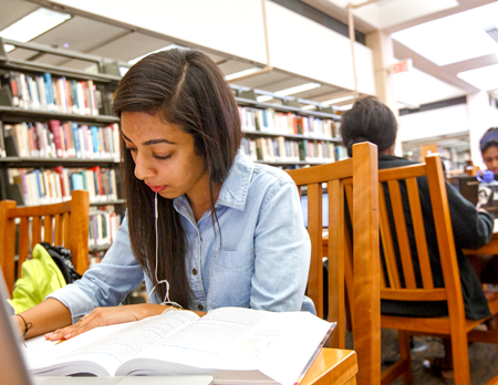 Student studying on the fourth floor of the library
