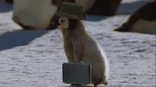A small penguin wearing a hat and holding a briefcase walks across ice