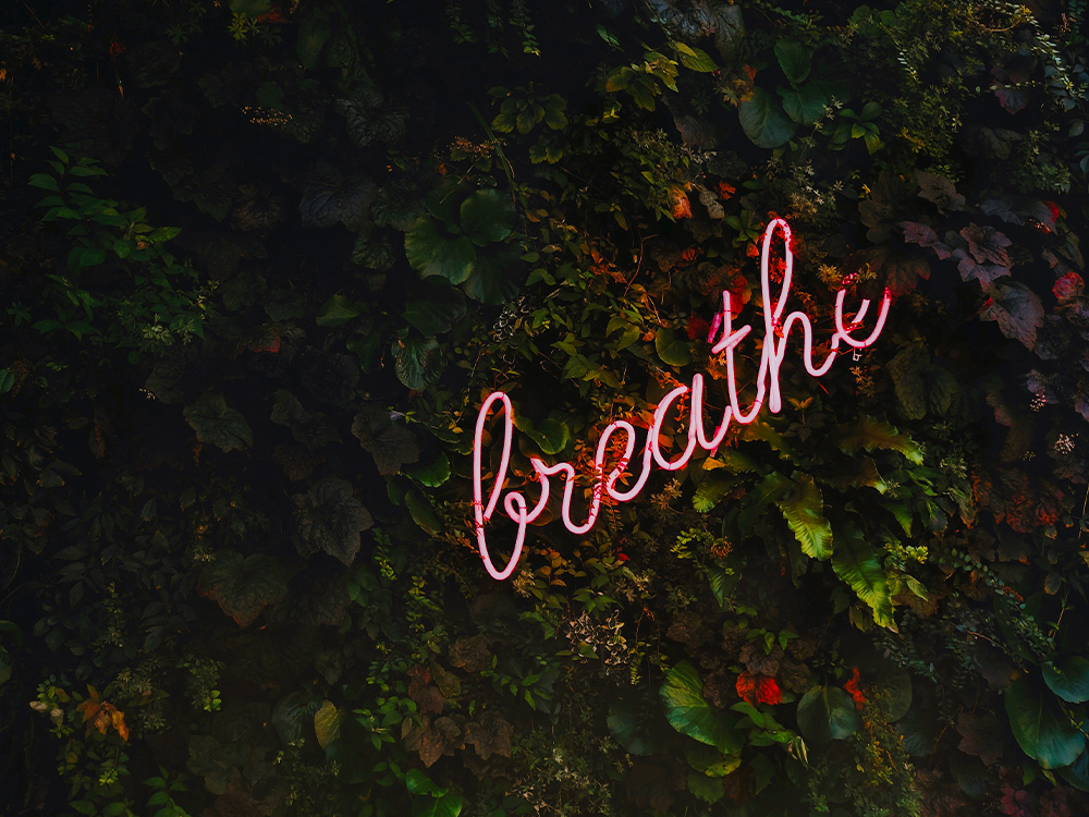 Neon sign that says breathe
