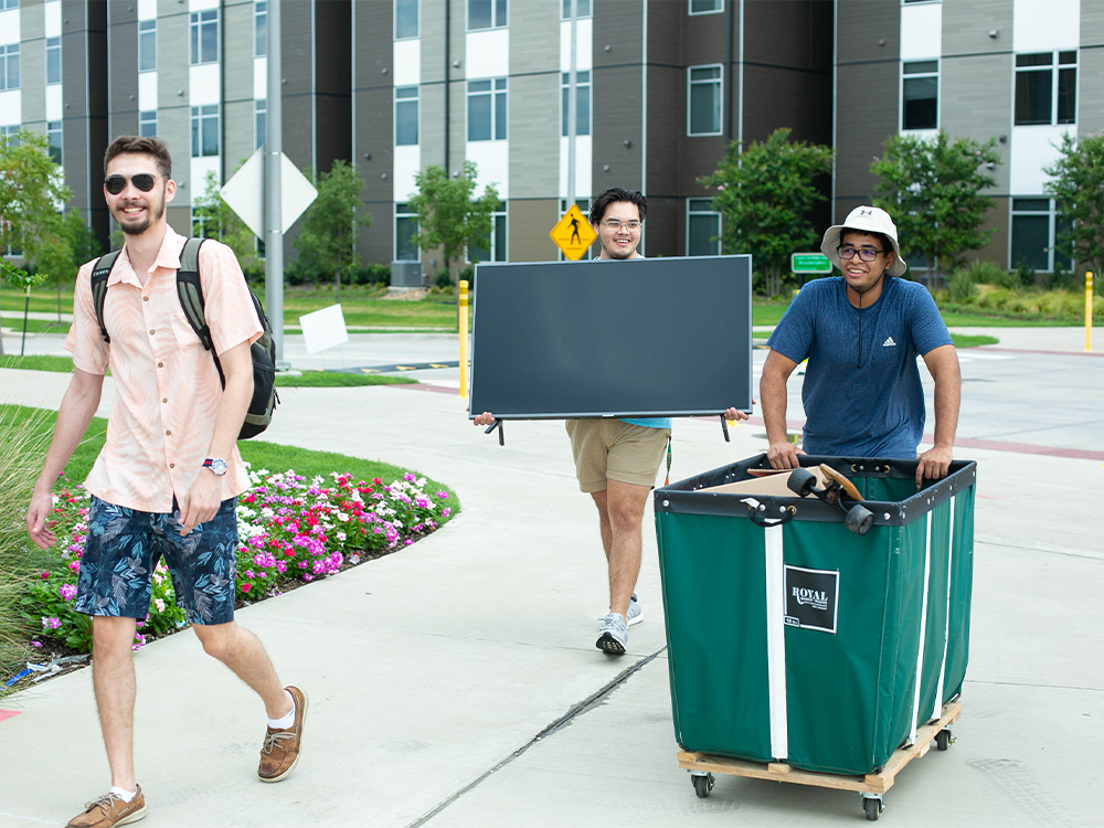 Male students walking along side walk with various items