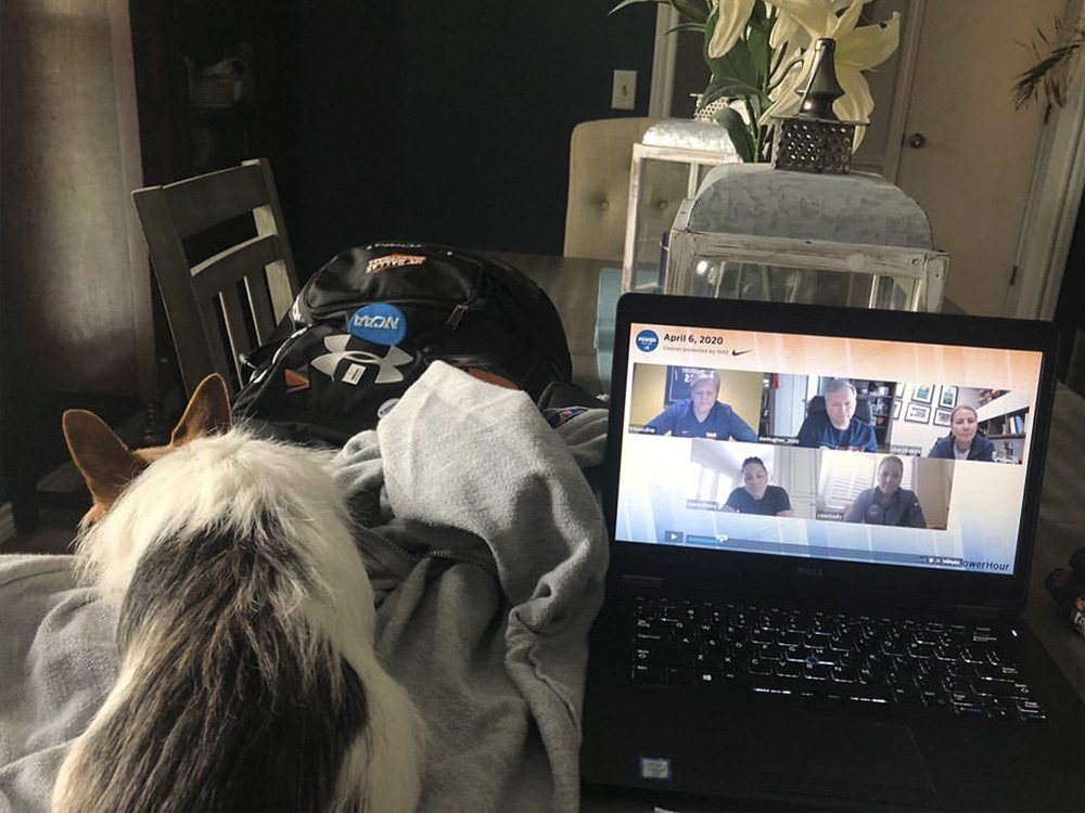 A dog sits next to its owner’s open laptop, which has a virtual meeting taking place.