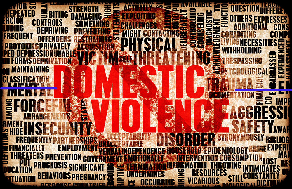 Word cloud of terms related to domestic violence