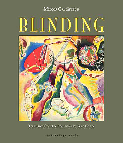 Book Cover for:  Blinding