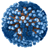 generic flu virus