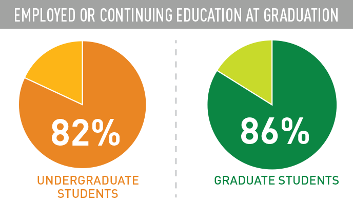 Graph of students employed after graduation. Undergraduate, 82%. Graduate, 86%.