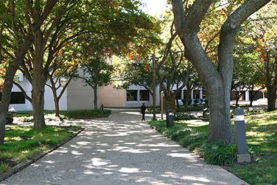 "President's Walk" on campus