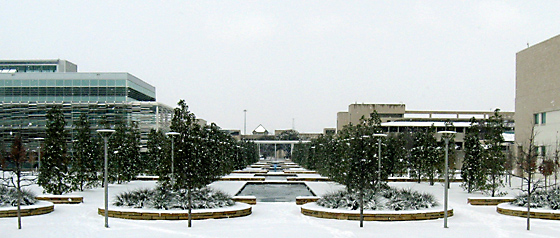 Campus mall