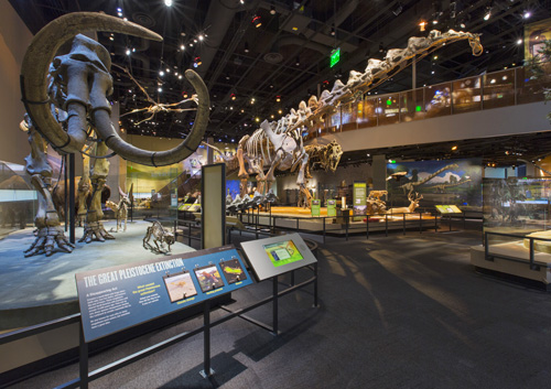 Then and Now Hall at the Perot Museum of Nature and Science