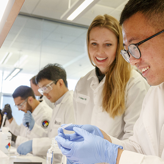 Biomedical engineering students conduct research in a lab.