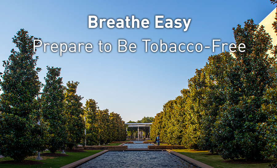 American Lung Association Lunch & Learn