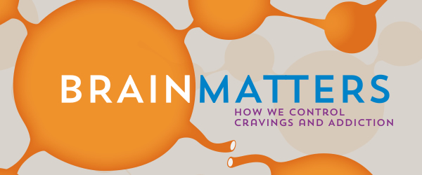 How Cravings and Addiction Affect the Brain