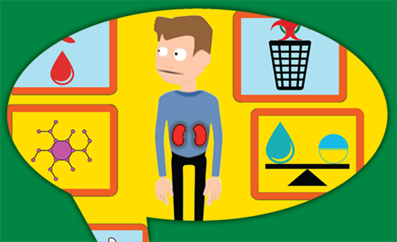 Kick off the New Year with Healthy Kidneys